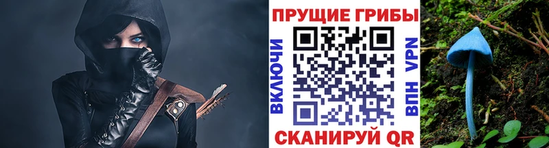 Купить закладки  Ржев  Галлюциногенные грибы Cubensis 